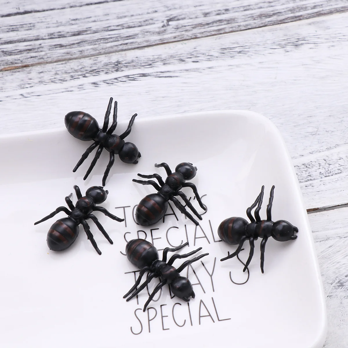 50 PC Cake Toppers Realistic Insects Toys Toddler Bug Toys Fake Insect Black Plastic Ants Plastic Ants Toys Plastic Ants Bulk
50 PC Cake Toppers Realistic Insects Toys Toddler Bug Toys Fake Insect Black Plastic Ants Plastic Ants Toys Plastic Ants Bulk