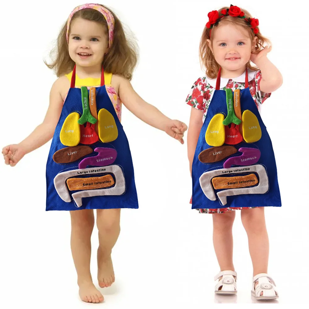 Kitchen Anatomy Apron Human Body Organ Educational Tool Children Preschool Teaching Aid Nail Salon Dress Women Men Apron
Kitchen Anatomy Apron Human Body Organ Educational Tool Children Preschool Teaching Aid Nail Salon Dress Women Men Apron