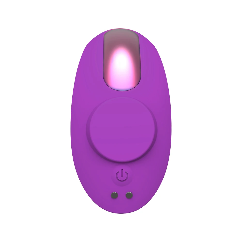 Remote contol vibrator