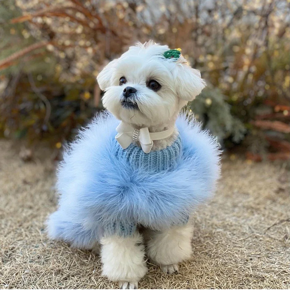 Ladies Turkey Winter Warm Sweater Soft Comfortable Pet Clothes Pets Cosplay Costume For Small Medium Large Dogs
Ladies Turkey Winter Warm Sweater Soft Comfortable Pet Clothes Pets Cosplay Costume For Small Medium Large Dogs