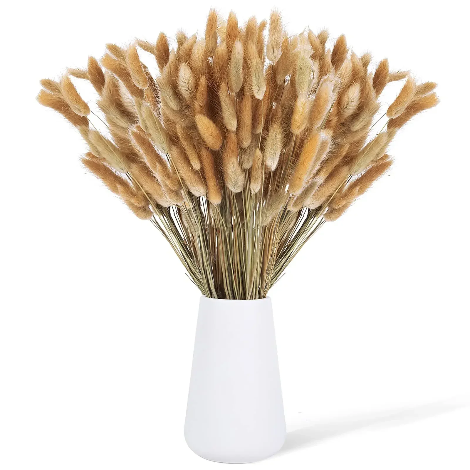50PCS Dried Bunny Tail Grass Natural Dried Lagurus ovatus Rabbit Tails Boho Home Wedding Decor Dried Flowers Party Arrangement
50PCS Dried Bunny Tail Grass Natural Dried Lagurus ovatus Rabbit Tails Boho Home Wedding Decor Dried Flowers Party Arrangement