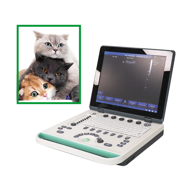 Super Portable Black And White Wireless Wifi Ultrasound Probe Scanner Doppler Ultrasound Machine
Super Portable Black And White Wireless Wifi Ultrasound Probe Scanner Doppler Ultrasound Machine