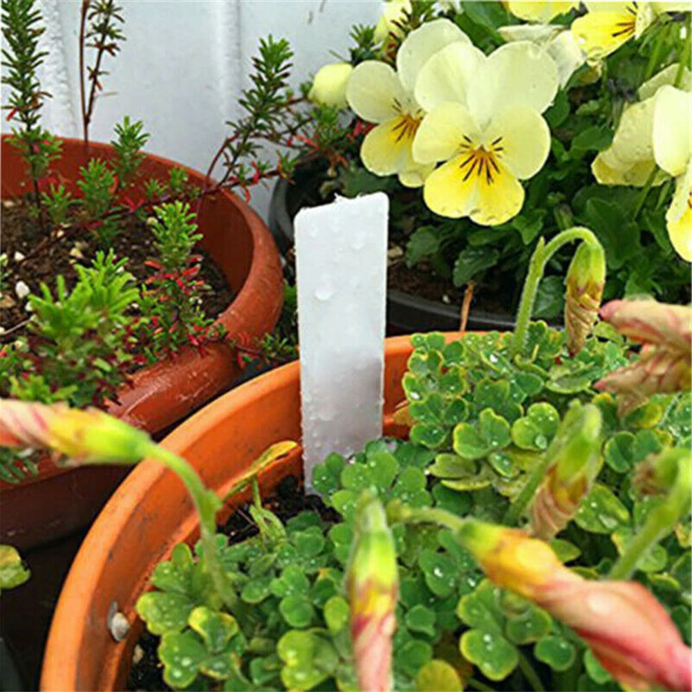 100pcs Plastic Plant Labels Labeling Marker Supplies Home And Garden Decoration Stickers And Posters White 5*1cm
100pcs Plastic Plant Labels Labeling Marker Supplies Home And Garden Decoration Stickers And Posters White 5*1cm