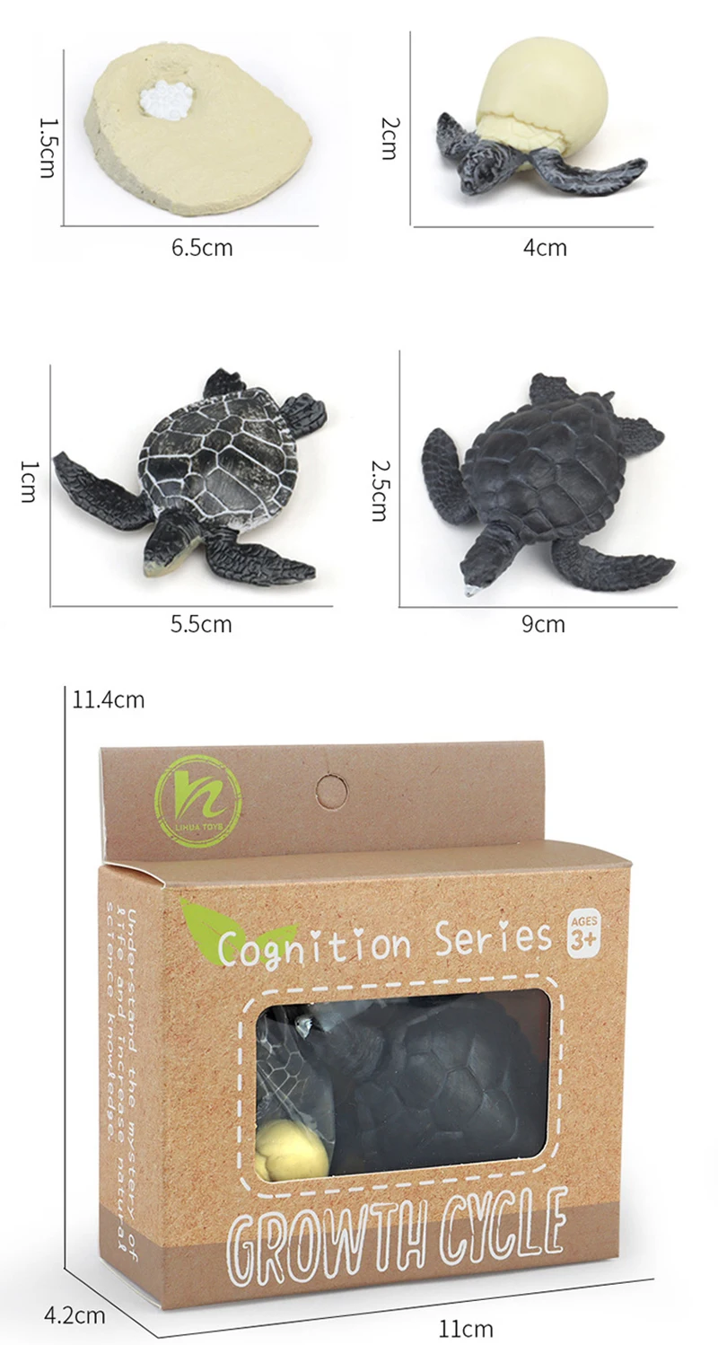 Tierlebenszyklus Kinderspielzeug Simulation Pflanzenmodell Montessori Lehrmittel Tierwachstumszyklus Modell Set Kognitives Spielzeug Tierlebenszyklus Kinderspielzeug Simulation Pflanzenmodell Montessori Lehrmittel Tierwachstumszyklus Modell Set Kognitives Spielzeug