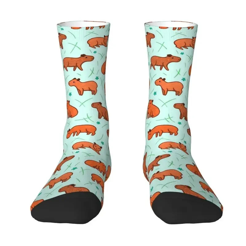 Kawaii Capybara Pattern Mens Crew Socks Unisex Kawaii 3D Printed Animal Lover Dress Socks
Kawaii Capybara Pattern Mens Crew Socks Unisex Kawaii 3D Printed Animal Lover Dress Socks