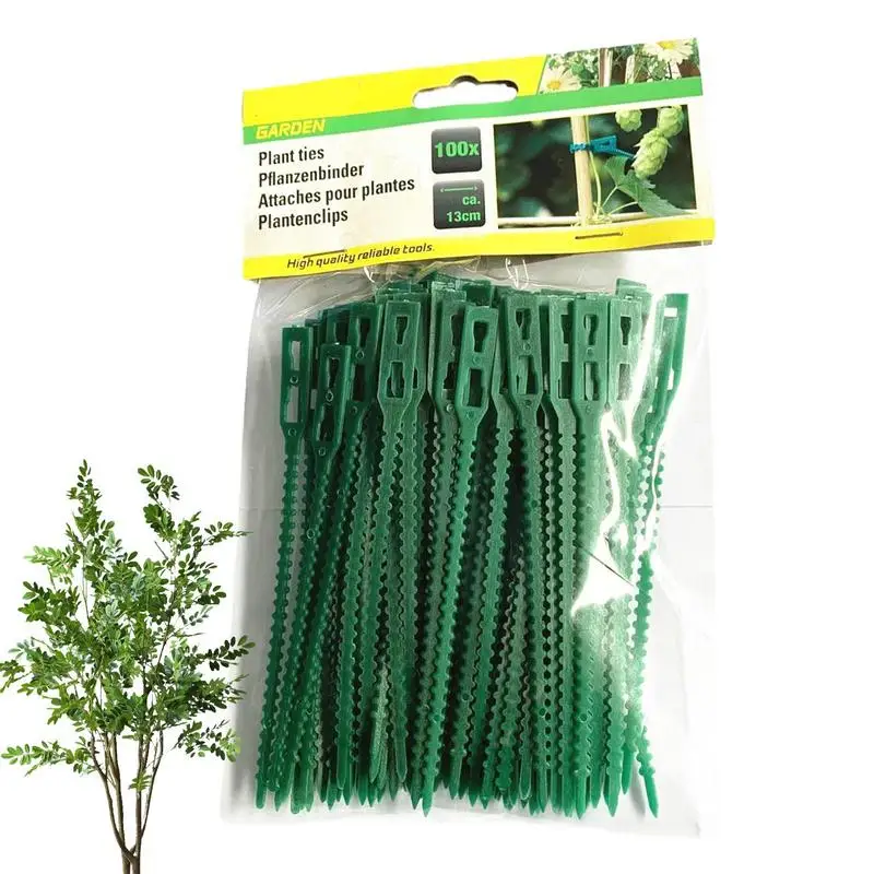100PCS Garden Twist Ties Gardening Cable Ties Self Locking Garden Zip Ties Multifunction Coated Fix Strings for plant Climbing
100PCS Garden Twist Ties Gardening Cable Ties Self Locking Garden Zip Ties Multifunction Coated Fix Strings for plant Climbing