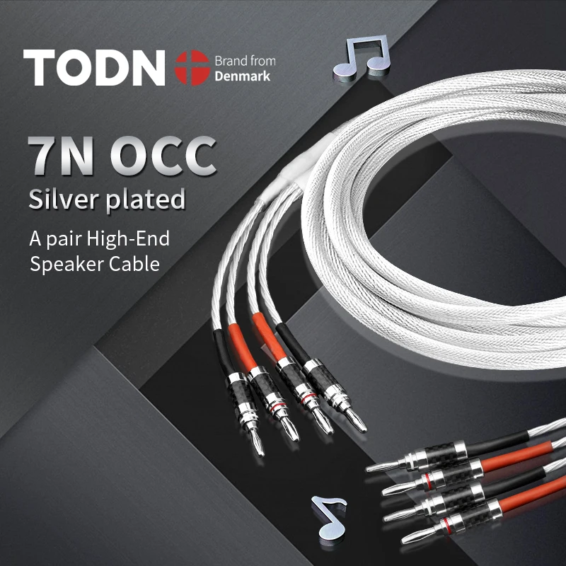 

TODN One Pair HIFI Silver-plated Speaker Cable Hi-end 7N OCC Speaker Wire For Hi-fi Systems Y Plug Banana plug Speaker Cable