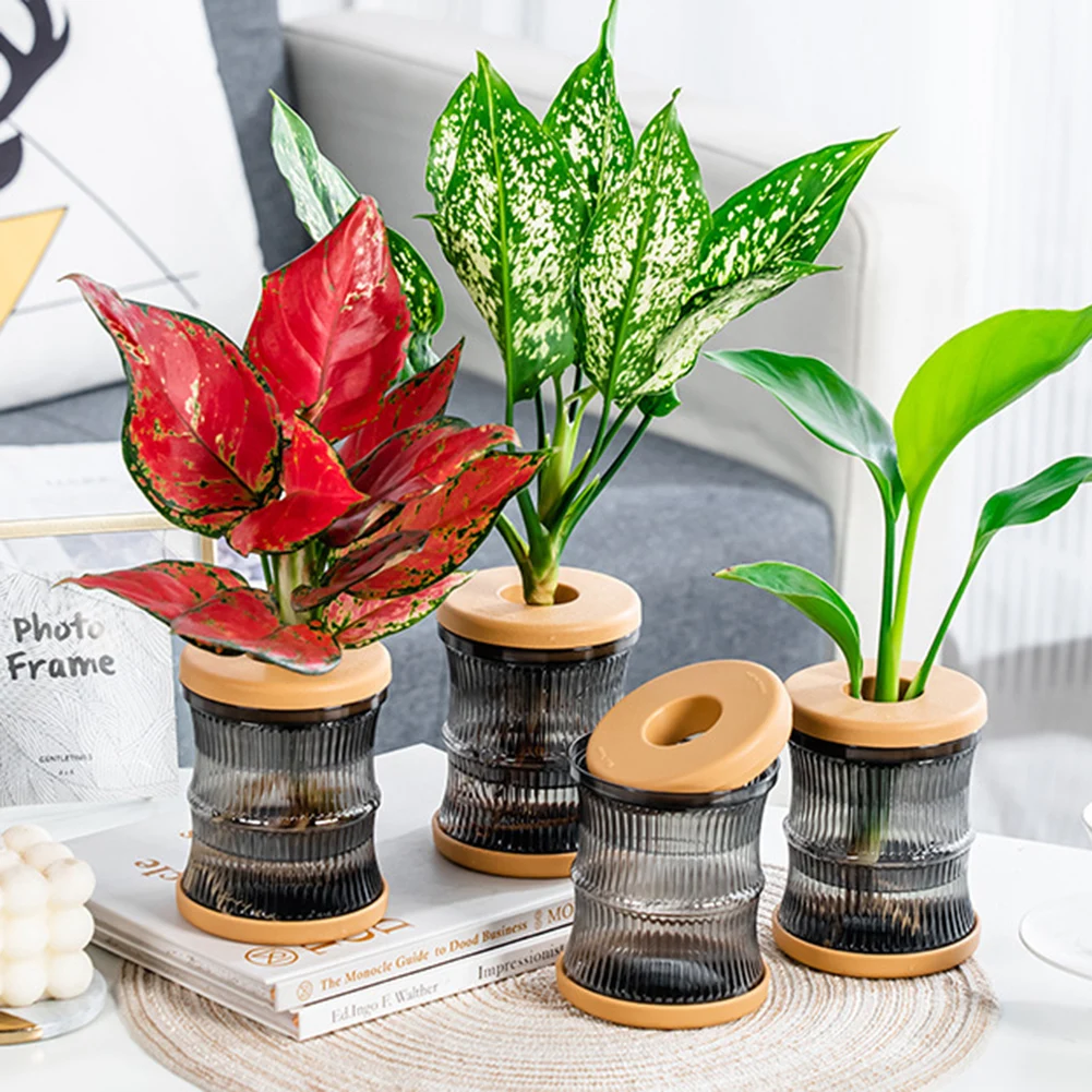 Transparent Hydroponic Flower Pot Water Planting Vase Container Lazy Flowerpot Plastic Tabletop Plants Bonsai Office Home Decor
Transparent Hydroponic Flower Pot Water Planting Vase Container Lazy Flowerpot Plastic Tabletop Plants Bonsai Office Home Decor
