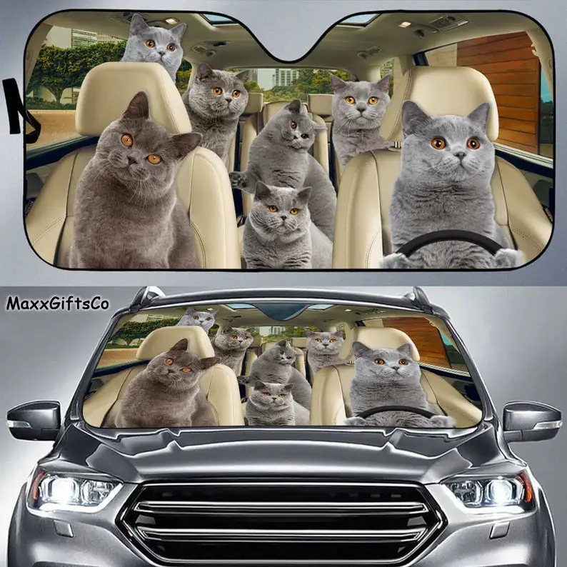 British shorthair cat Car Sun Shade, Cats Windshield, Cats Family Sunshade, Cat Car Accessories, Car Decoration, Gift For Dad, M
British shorthair cat Car Sun Shade, Cats Windshield, Cats Family Sunshade, Cat Car Accessories, Car Decoration, Gift For Dad, M