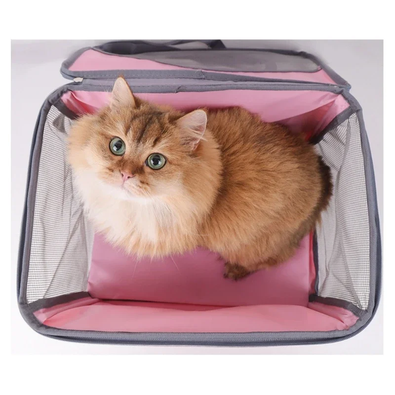 Pet Carriers Bed, Car Pet Bag Foldable Bag Travel for Dog Outdoor Travel Foldable Bag Breathable Basket
Pet Carriers Bed, Car Pet Bag Foldable Bag Travel for Dog Outdoor Travel Foldable Bag Breathable Basket