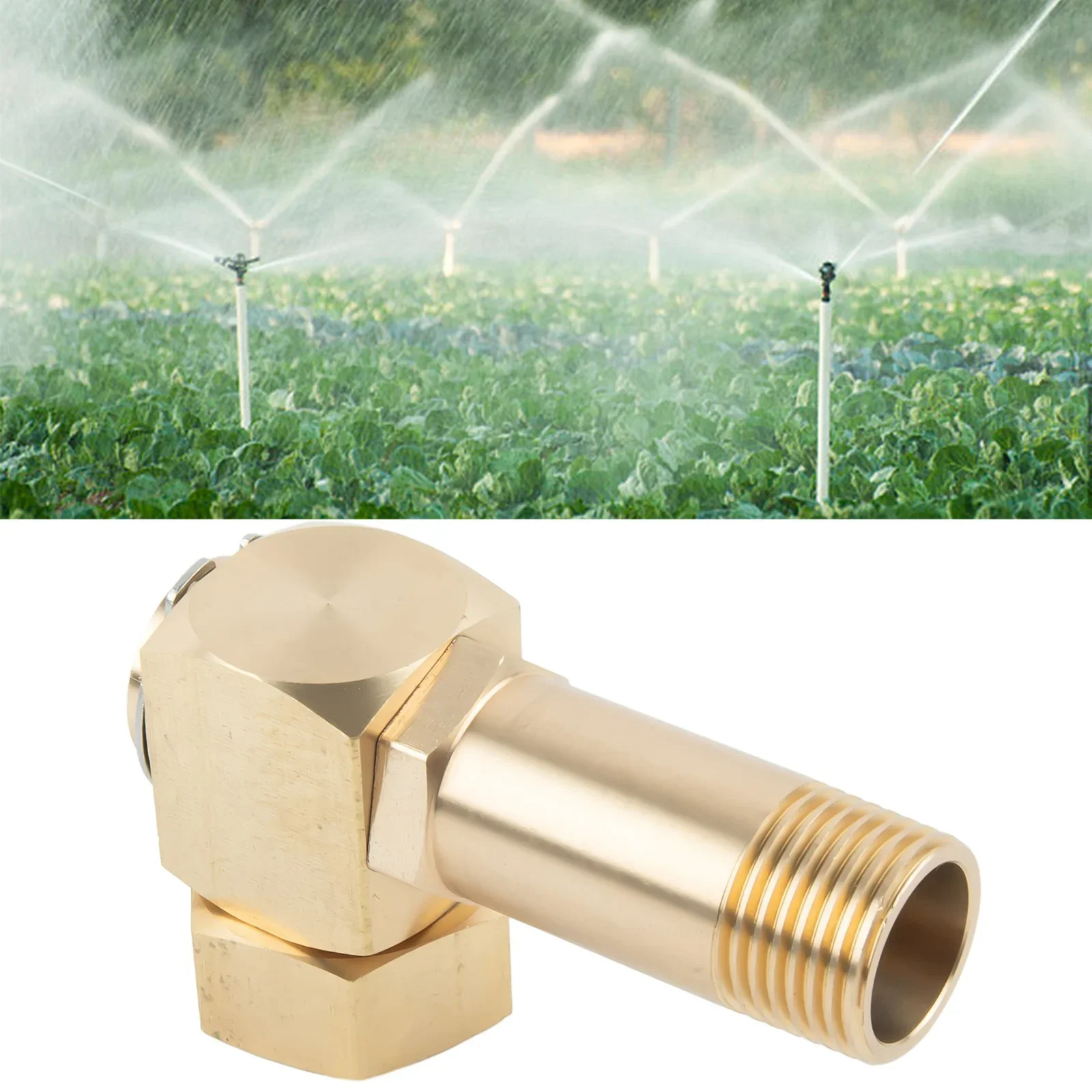 Heavy Duty Brass Garden Hose Adapter Swivel Replacement Part For Hose Reel 1 Inch GHT To 0 8 Inch Connector Reliable Design
Heavy Duty Brass Garden Hose Adapter Swivel Replacement Part For Hose Reel 1 Inch GHT To 0 8 Inch Connector Reliable Design