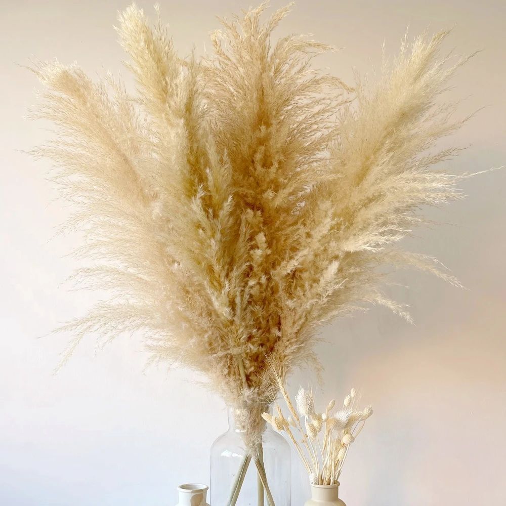80cm Pampas Grass Large Natural White Grey Dried Flowers Fluffy Pampa Decor for Vase Boho Home Wedding Party Arch Decoration
80cm Pampas Grass Large Natural White Grey Dried Flowers Fluffy Pampa Decor for Vase Boho Home Wedding Party Arch Decoration