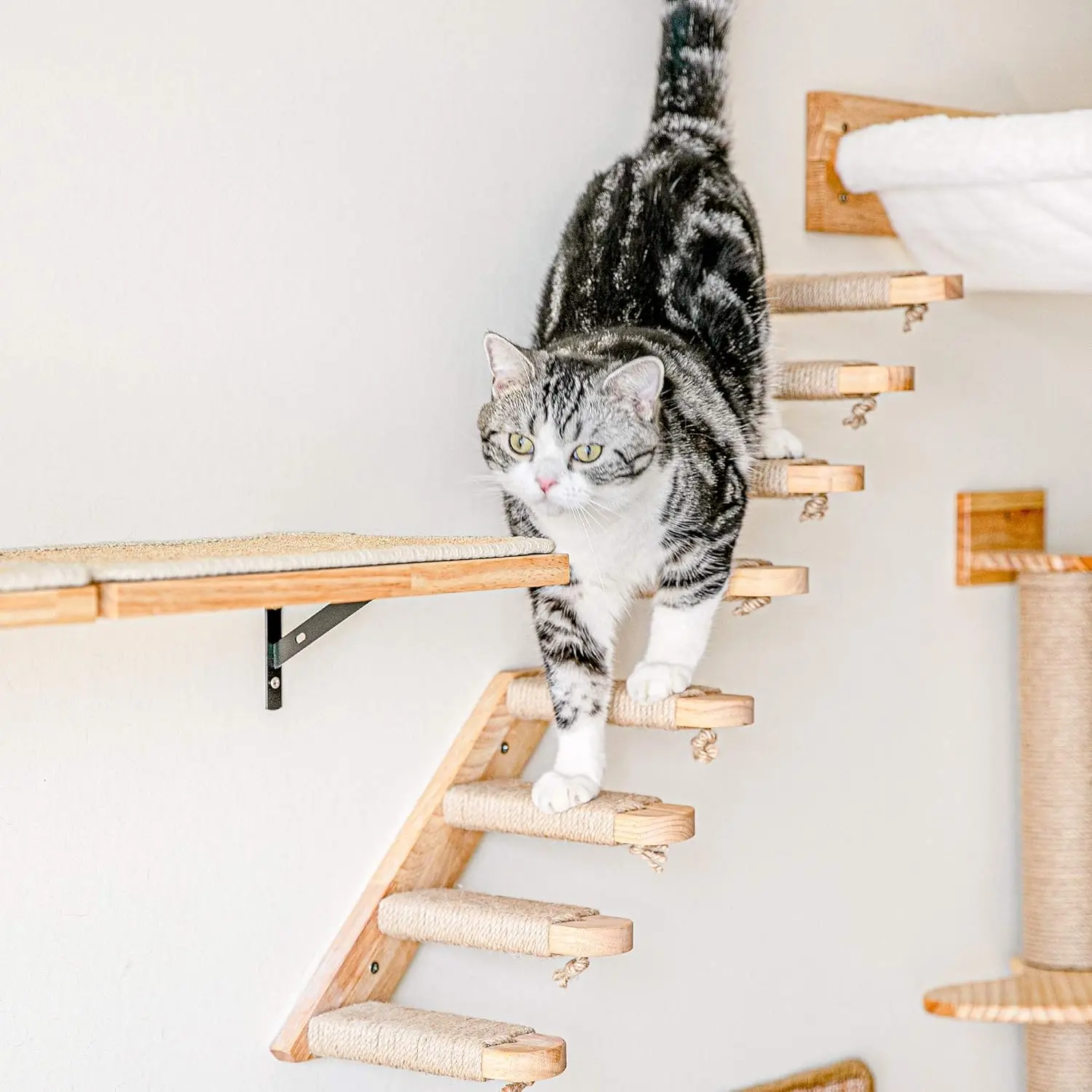 KLYM cat climbing frame wall mounted, 4 steps cat staircase, easy to install cat furniture pet accessories
KLYM cat climbing frame wall mounted, 4 steps cat staircase, easy to install cat furniture pet accessories