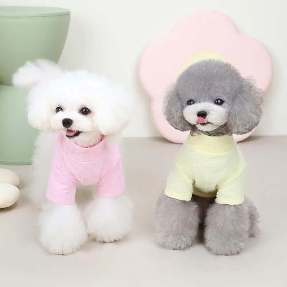 Pets Clothes Stylish Anti-fall Washable Seersucker Texture Pet Shirt for Teddy Pet Vest Pet Vest
Pets Clothes Stylish Anti-fall Washable Seersucker Texture Pet Shirt for Teddy Pet Vest Pet Vest