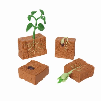 어린이용 식물 성장 주기 액션 피규어, 녹색 콩 모델, 인지 교육 장난감, 라이프 사이클 피규어, 어린이 선물, 4 개/로트