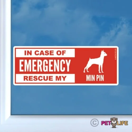 For In Case of Emergency Rescue My Miniature Pinscher Sticker - Min Pin Profile Car decals
For In Case of Emergency Rescue My Miniature Pinscher Sticker - Min Pin Profile Car decals