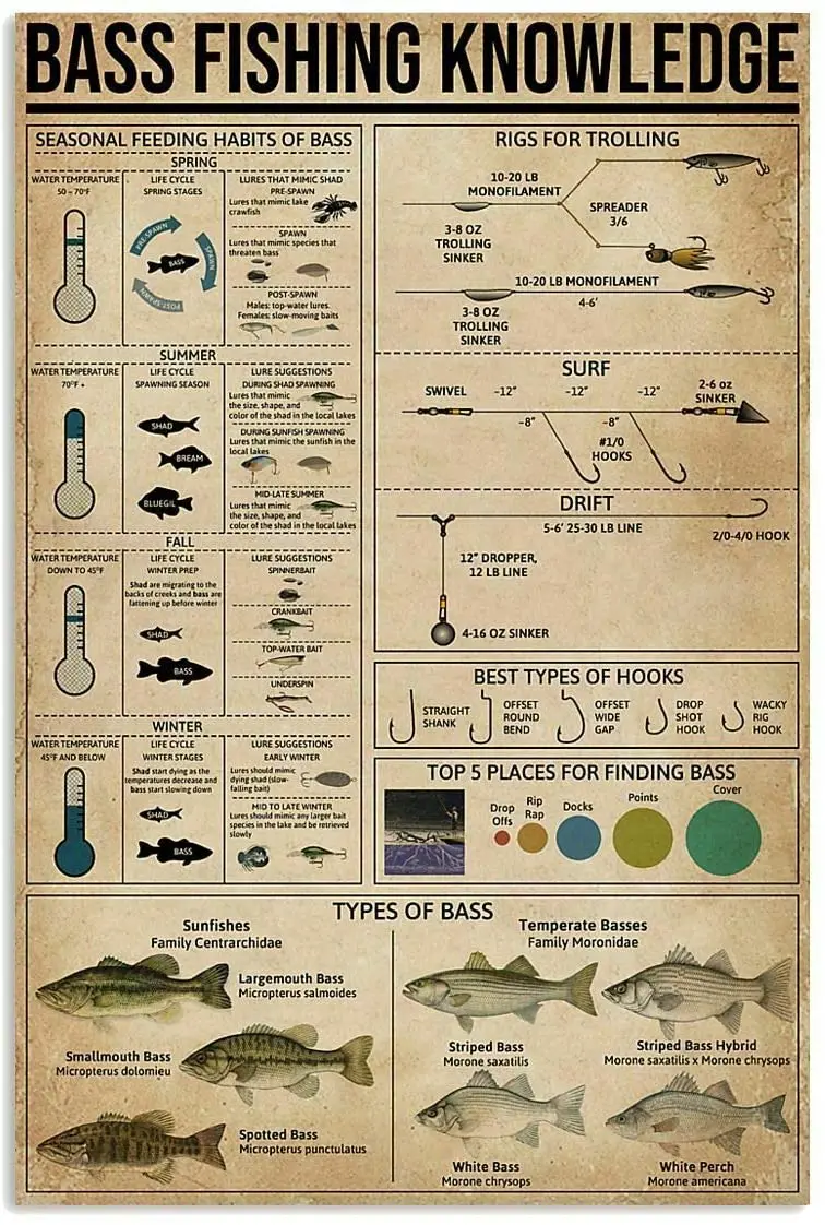 Metal Sign Bass Fishing Knowledge Tin Sign Bar Home Decoration New Year Sign The Best Gift for Parents, wall decor posters
Metal Sign Bass Fishing Knowledge Tin Sign Bar Home Decoration New Year Sign The Best Gift for Parents, wall decor posters