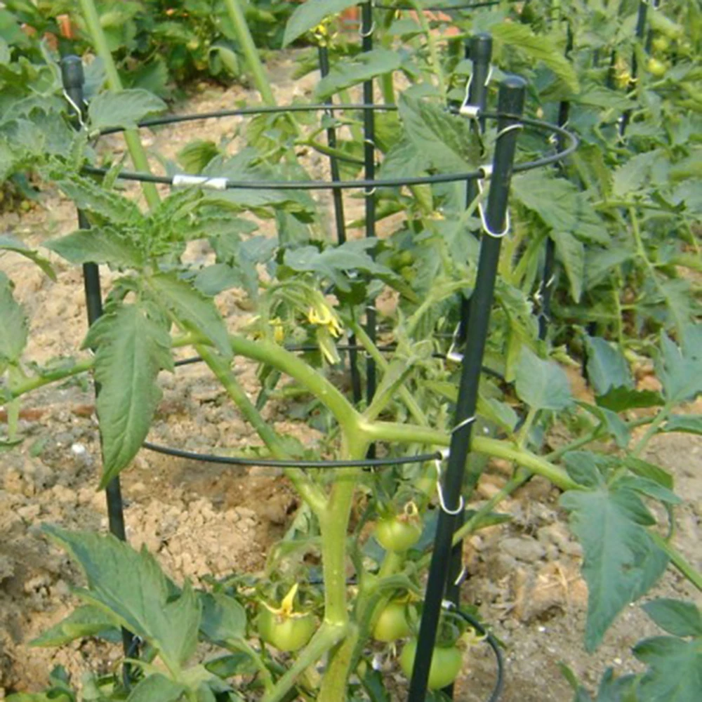 1 Pc Plant Potted Support Frame Durable Climbing Plant Support Cage Garden Trellis Tomato Flowers Stand Garden 45cm
1 Pc Plant Potted Support Frame Durable Climbing Plant Support Cage Garden Trellis Tomato Flowers Stand Garden 45cm