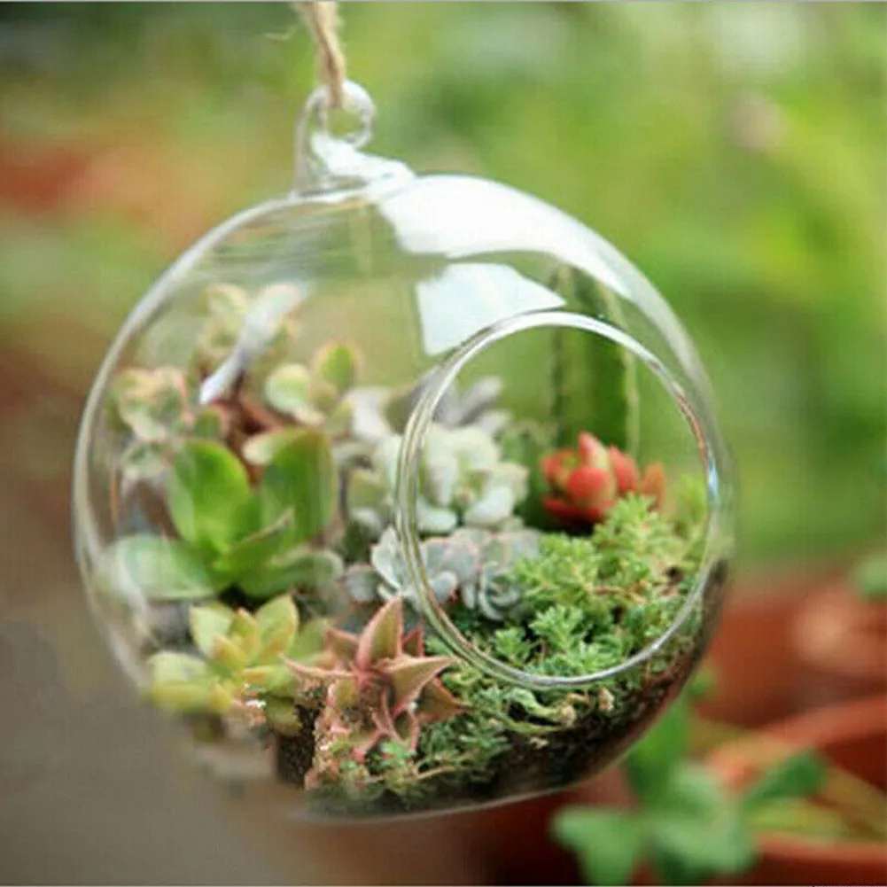 Clear Hanging Glass Ball Vase Succulent Plant Terrarium Container Flower Pots Home Decor Vase Decoration
Clear Hanging Glass Ball Vase Succulent Plant Terrarium Container Flower Pots Home Decor Vase Decoration