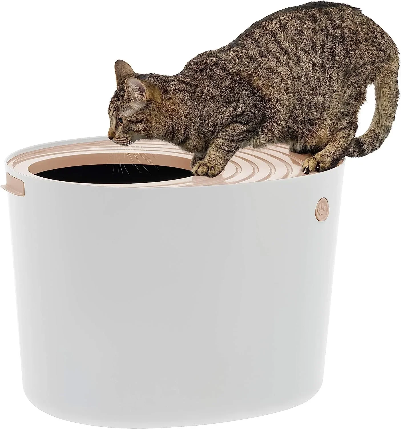 USA Large Stylish Round Top Entry Cat Litter Box with Scoop, Curved Kitty Litter Pan with Litter Particle Catching , White/Beige
USA Large Stylish Round Top Entry Cat Litter Box with Scoop, Curved Kitty Litter Pan with Litter Particle Catching , White/Beige