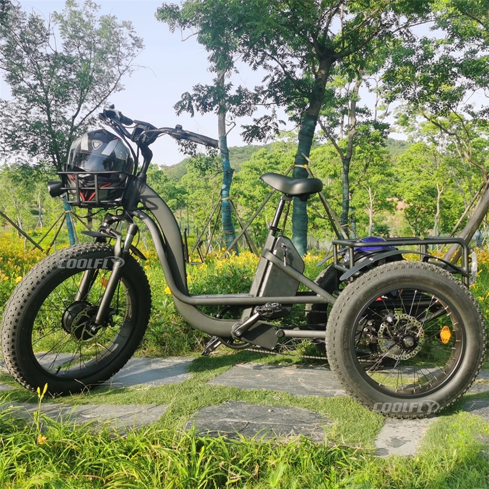 Newest Design Coolfly 48v 750w 1000w front drive motor 24AH lithium battery powered three cargo electric bike 3 wheel tricycle
Newest Design Coolfly 48v 750w 1000w front drive motor 24AH lithium battery powered three cargo electric bike 3 wheel tricycle