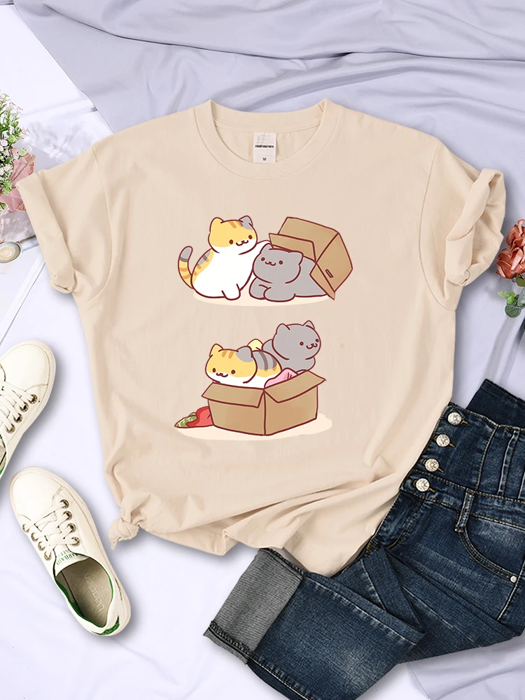 Two Cute Cats Playing Hide And Seek In Cartons Women T-Shirt Fashion Vintage T Shirt Harajuku Clothes Summer Streetwear T Shirts
Two Cute Cats Playing Hide And Seek In Cartons Women T-Shirt Fashion Vintage T Shirt Harajuku Clothes Summer Streetwear T Shirts