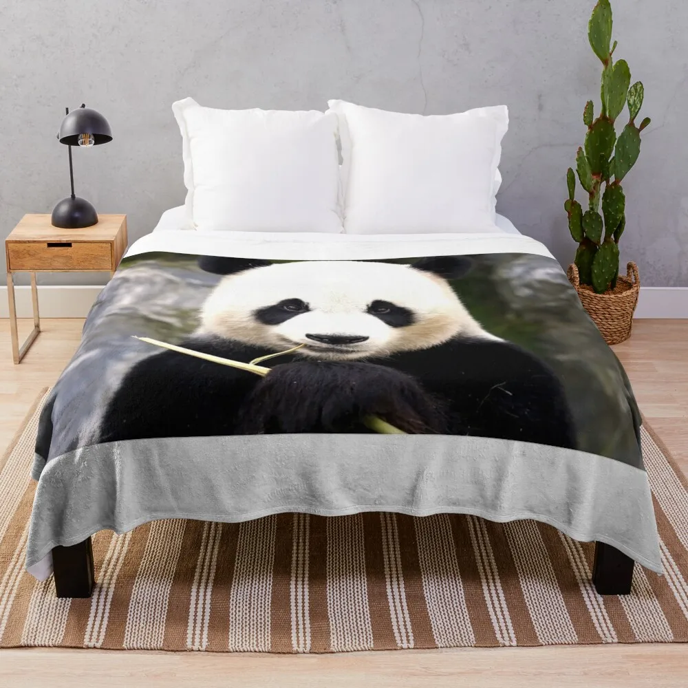 

Panda Throw Blanket Giant Sofa Blanket Decorative Blankets Weighted Blanket Decorative Sofa Blanket