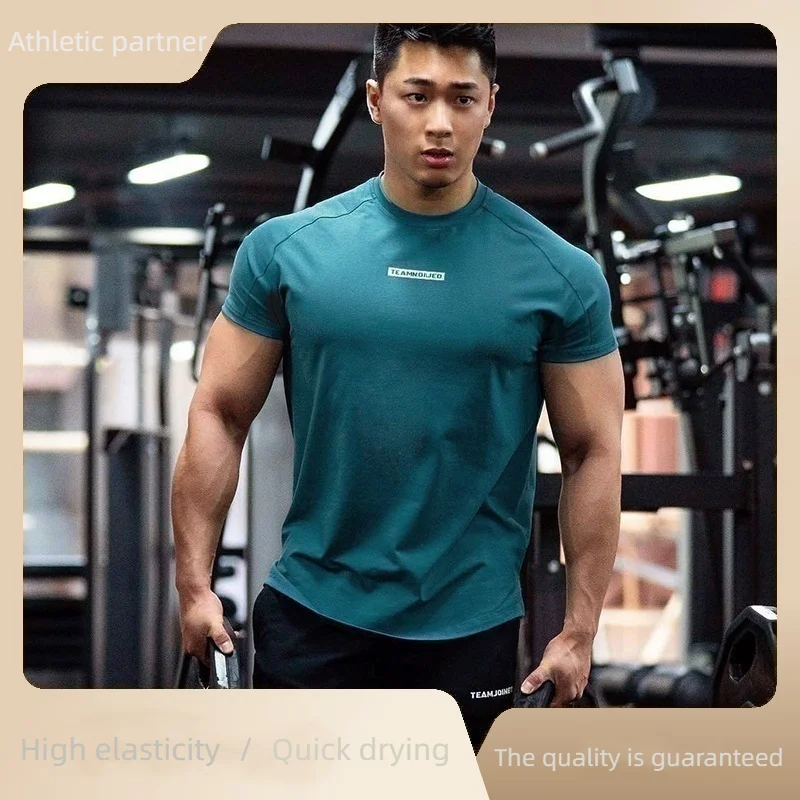New Sports Short-sleeved Elastic Absorbent Sweat-wicking Fitness Leisure Sports T-shirt
New Sports Short-sleeved Elastic Absorbent Sweat-wicking Fitness Leisure Sports T-shirt