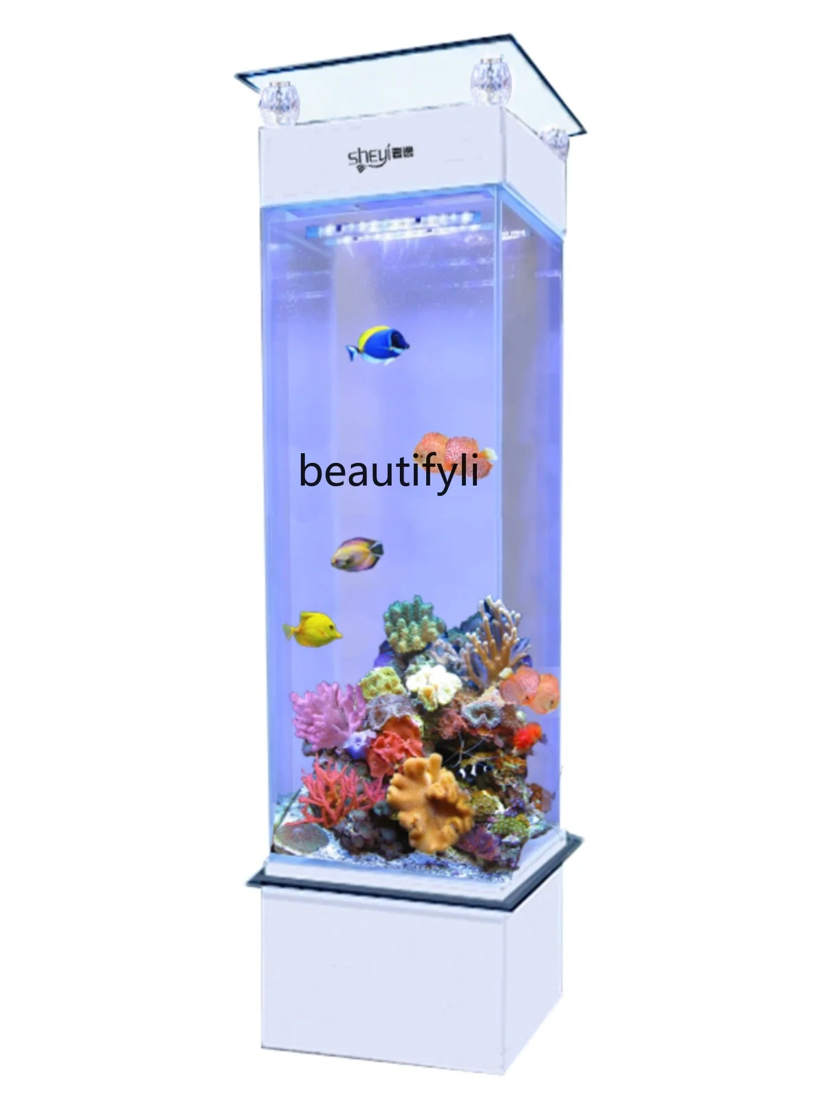 Fish Tank Living Room Small and Medium Rectangular Household Filter Vertical Floor Super White Glass Aquarium
Fish Tank Living Room Small and Medium Rectangular Household Filter Vertical Floor Super White Glass Aquarium