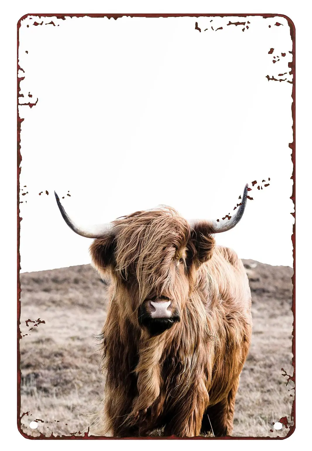 Highland декор для коровы день рождения Highland корова буйвол печать крупного рогатого скота фермерские жестяные знаки для искусства стены металлические украшения
Highland декор для коровы день рождения Highland корова буйвол печать крупного рогатого скота фермерские жестяные знаки для искусства стены металлические украшения
