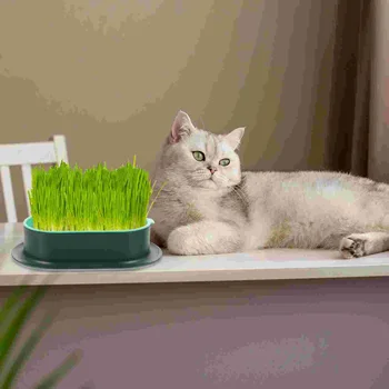 고양이 쓰레기 상자 잔디 화분 재배기, 개박하 수경 트레이, 가정 화분 식물 재배