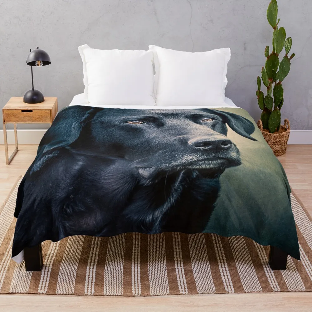 

Black Velvet - Labrador Throw Blanket Blankets Sofas Of Decoration Decorative Blankets Furry Blanket blankets and throws