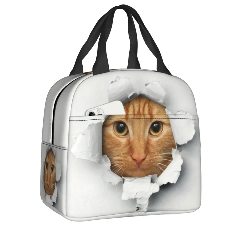 Funny Kitten Tabby Cat Lunch Box Thermal Cooler Foodsulated Lunch Bag for Women School Work Picnic Reusablete Bags
Funny Kitten Tabby Cat Lunch Box Thermal Cooler Foodsulated Lunch Bag for Women School Work Picnic Reusablete Bags