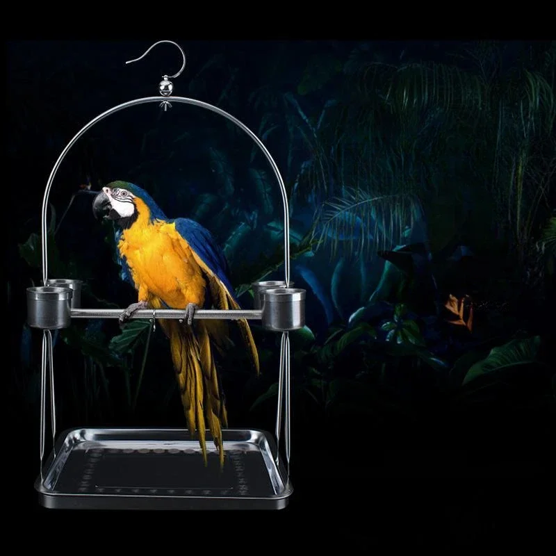 Stainless Steel Parrot Stand Frame Small Medium Large Bird Frames Cockatiel Budgerigar Puge Foot Ring Foots Chain Birds Perches
Stainless Steel Parrot Stand Frame Small Medium Large Bird Frames Cockatiel Budgerigar Puge Foot Ring Foots Chain Birds Perches