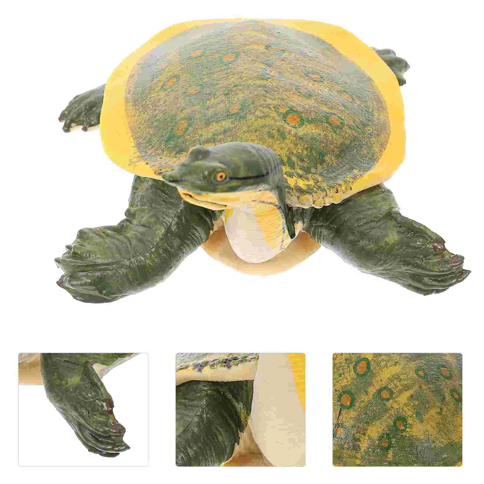 

Turtle Model Ocean Animals Toys Aquarium Ornament Simulation Plaything Amphibious Decor Soft-shelled Marine Desktop Children’s