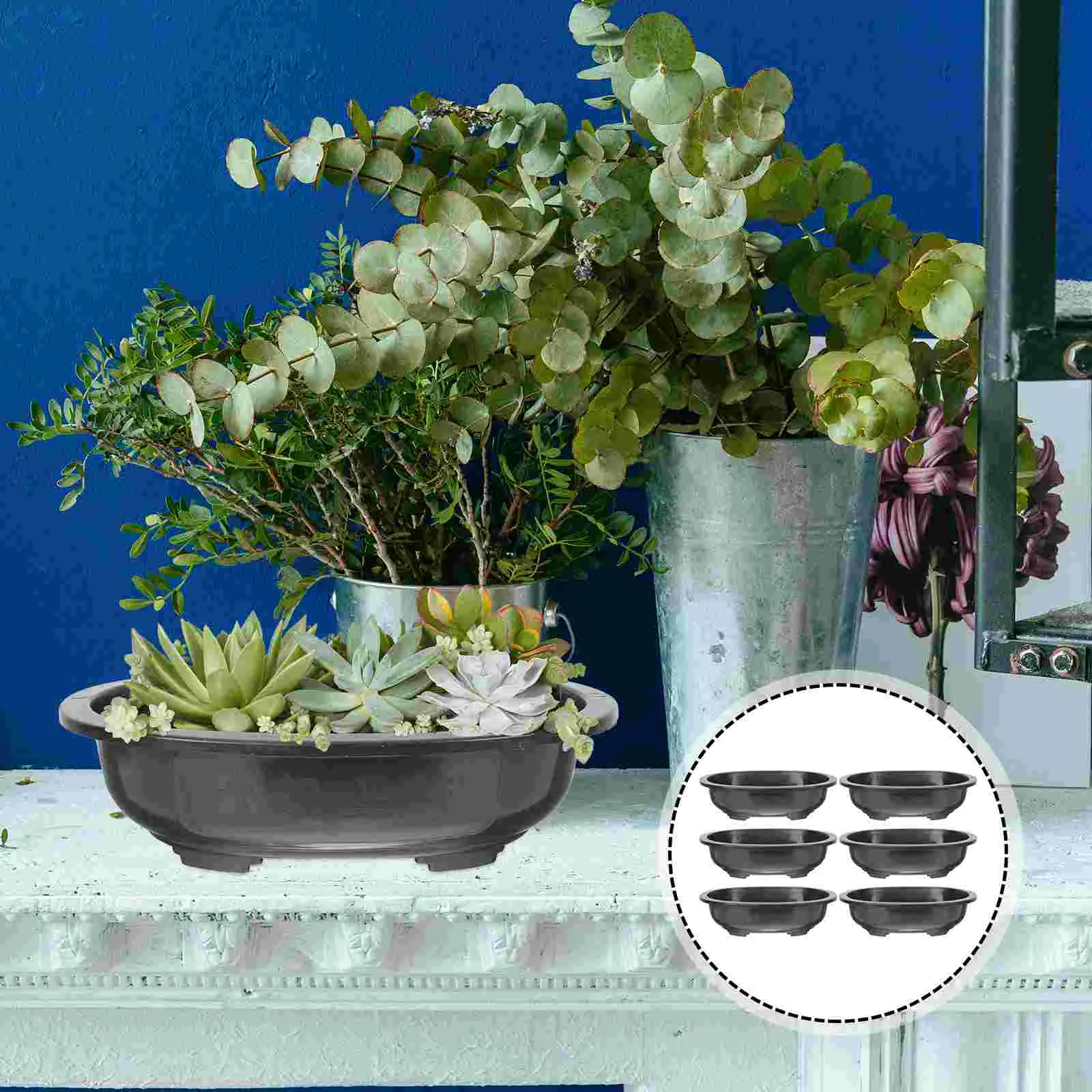 Plastic Flowerpots Decorative Gardening Large Bonsai Planting Pots Plant Containers Large Flowerpot Gardening Supplies
Plastic Flowerpots Decorative Gardening Large Bonsai Planting Pots Plant Containers Large Flowerpot Gardening Supplies