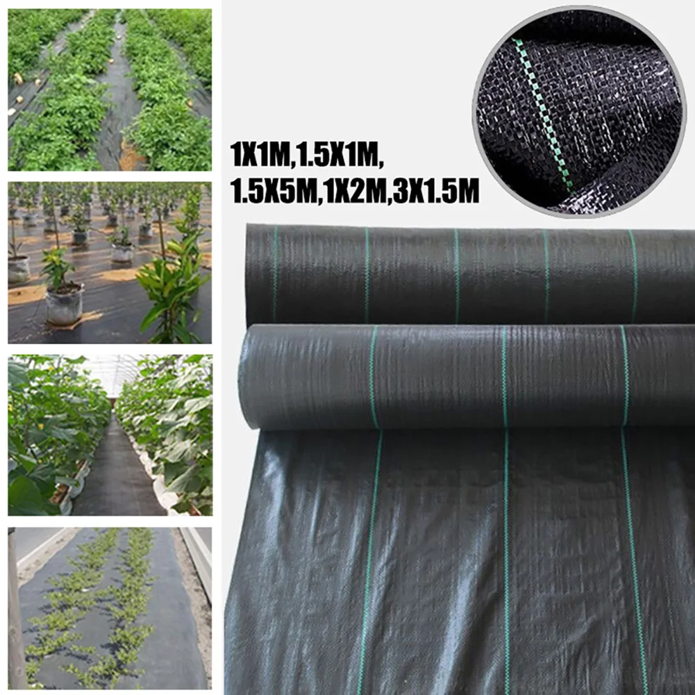 Sunblock Shade Sunshade Cloth Cover Anti-Bird Crops Plant Garden Protection Supplies For Chicken Coop Poultry Barns Kennel
Sunblock Shade Sunshade Cloth Cover Anti-Bird Crops Plant Garden Protection Supplies For Chicken Coop Poultry Barns Kennel