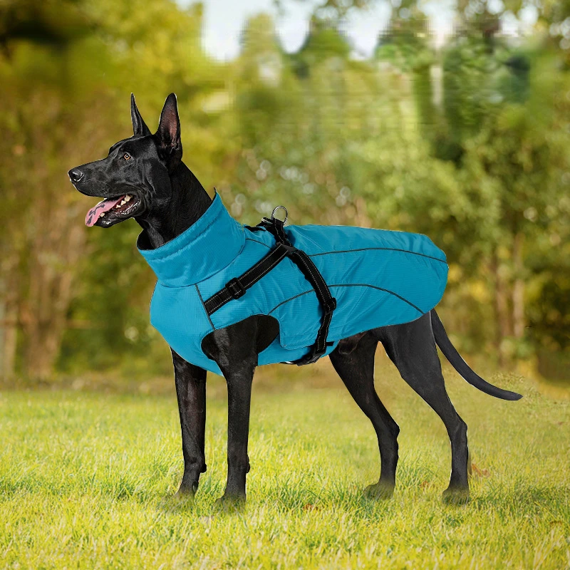 Winter New dog Chest Straps Ponchos Cotton Clothing Warm Clothes Waterproof snow Waterproof Suitable For Medium And Large dogs
Winter New dog Chest Straps Ponchos Cotton Clothing Warm Clothes Waterproof snow Waterproof Suitable For Medium And Large dogs