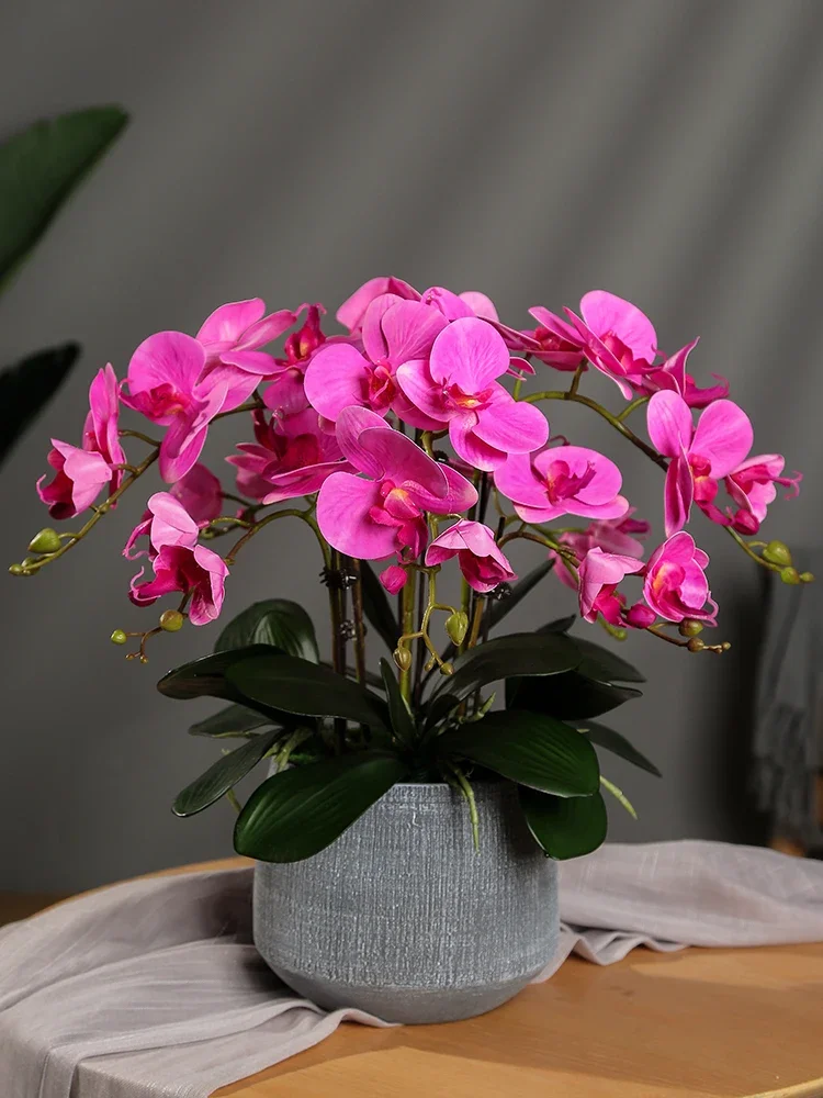 XK Butterfly Orchid Artificial Flower Home Living Room Table TV Cabinet Fake Arrangement Decoration
XK Butterfly Orchid Artificial Flower Home Living Room Table TV Cabinet Fake Arrangement Decoration