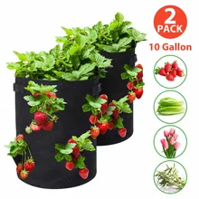 2 pack 10 Gallon Strawberry Grow Bag Felt Planting Flower Pot Vegetable Growing Pots Fabric Living Planter Seedling Breeding Bag
2 pack 10 Gallon Strawberry Grow Bag Felt Planting Flower Pot Vegetable Growing Pots Fabric Living Planter Seedling Breeding Bag
