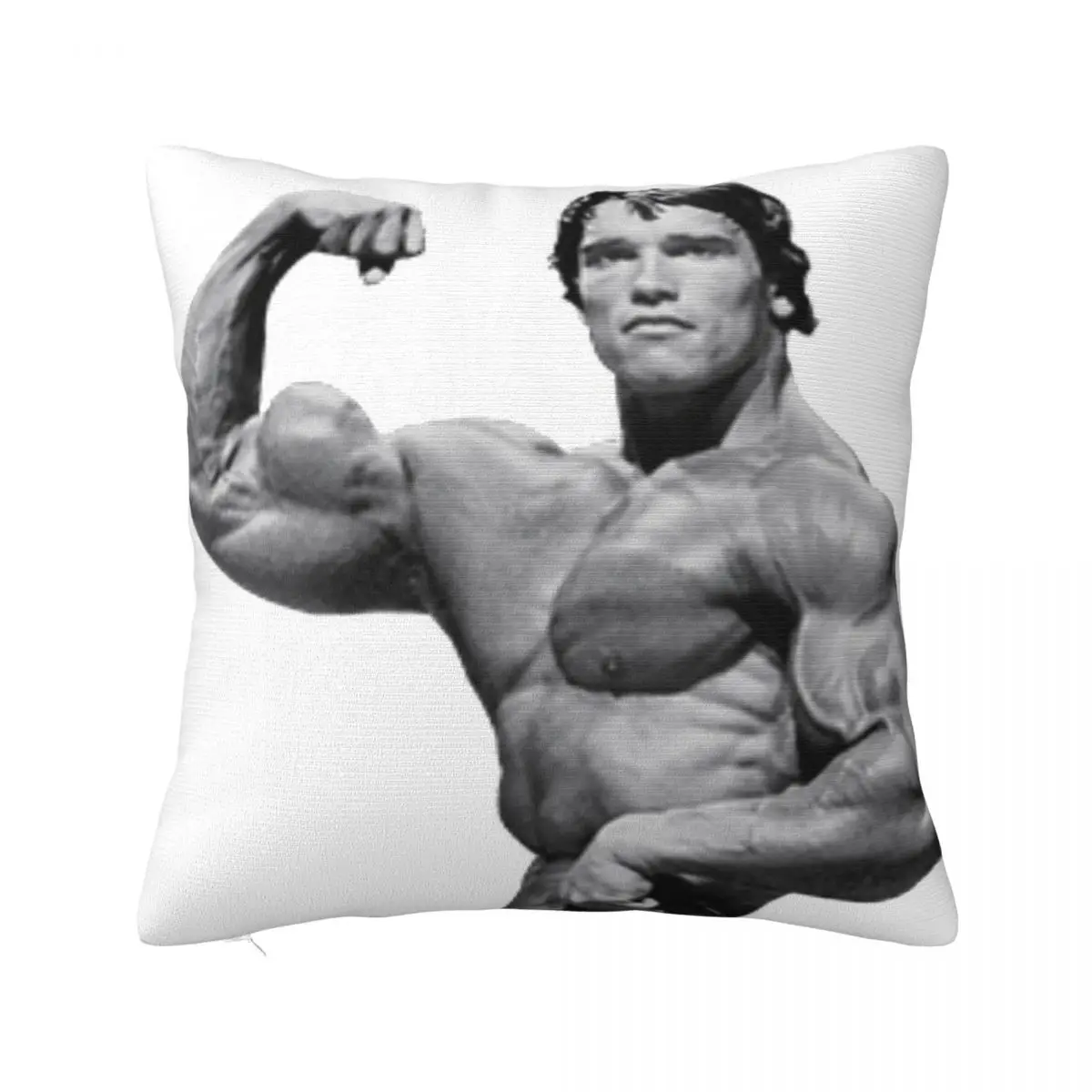Arnold Schwarzenegger Throw Pillow pillow cover luxury Decorative pillow case Ornamental Pillow christmas pillow case
Arnold Schwarzenegger Throw Pillow pillow cover luxury Decorative pillow case Ornamental Pillow christmas pillow case