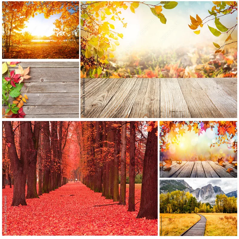 

Natural Scenery Photography Background Fall Leaves Forest Landscape Travel Photo Backdrops Studio Props QQTT-03