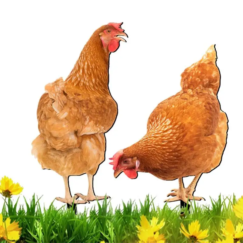 Chicken Garden Decor Hen Garden Stake Acrylic Rooster Decor Ground Plug Realistic Poultry Sculpture For Yard Lawn Patio Garden
Chicken Garden Decor Hen Garden Stake Acrylic Rooster Decor Ground Plug Realistic Poultry Sculpture For Yard Lawn Patio Garden