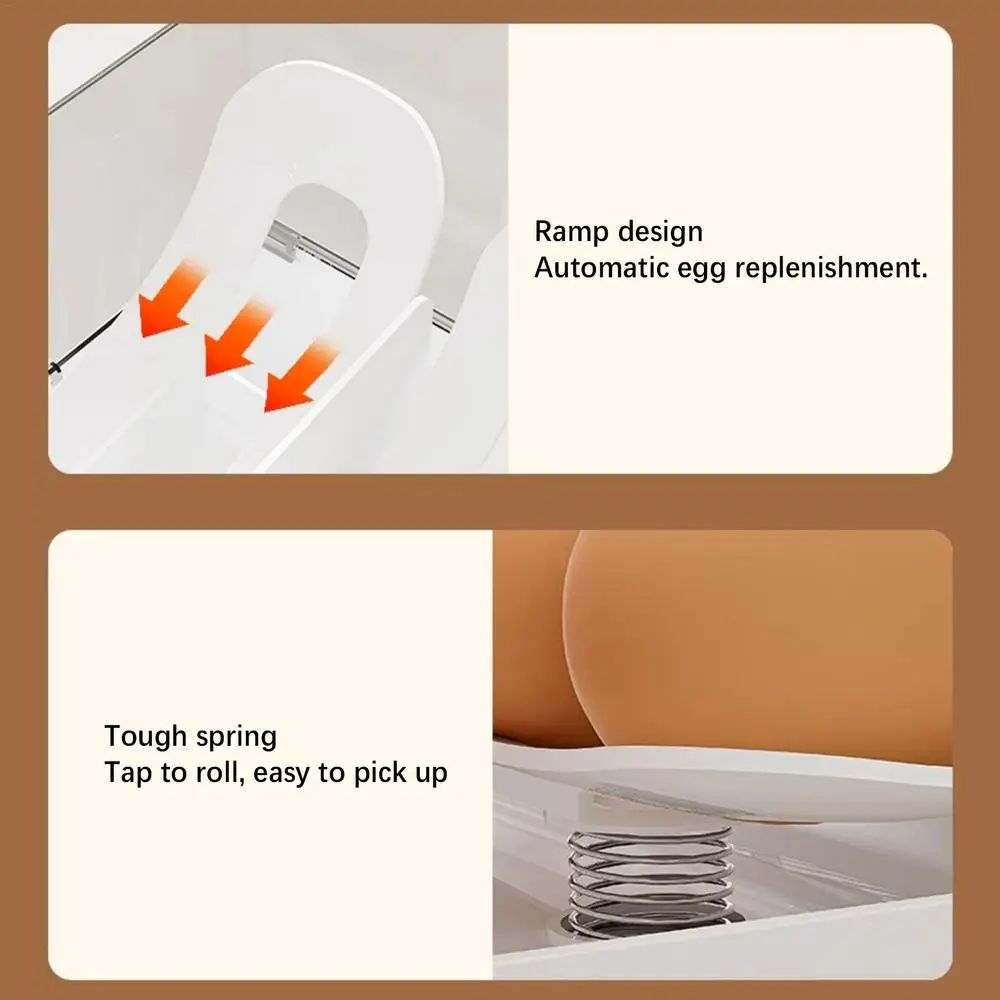 Egg Holder for Fridge