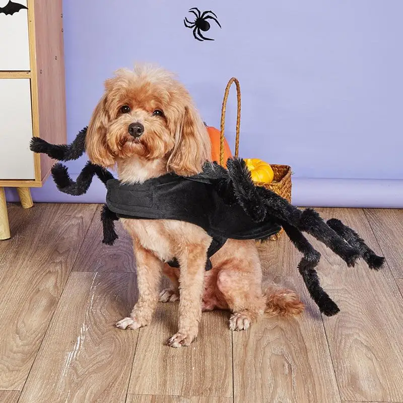 Halloween Spider Dog Clothes Lighted Pets Spider Costumes with 8 Furry Legs Dog Cat Apparels for party festival photo props
Halloween Spider Dog Clothes Lighted Pets Spider Costumes with 8 Furry Legs Dog Cat Apparels for party festival photo props