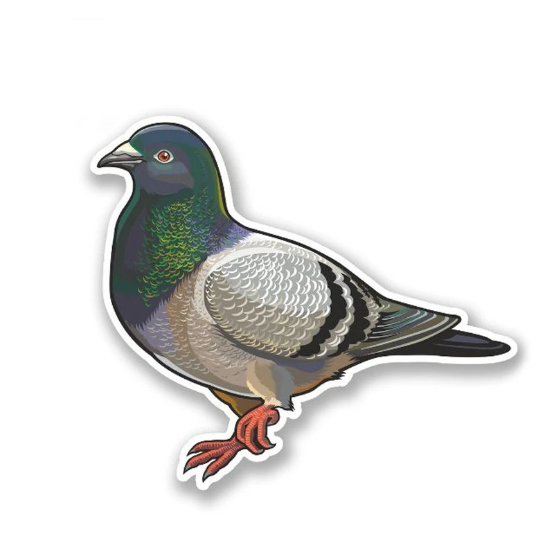 Interesting Animal Dove Fashion Car Sticker PVC Body Window Cover Scratches Accessory Auto Decal Motorcycle Laptop Decoration
Interesting Animal Dove Fashion Car Sticker PVC Body Window Cover Scratches Accessory Auto Decal Motorcycle Laptop Decoration