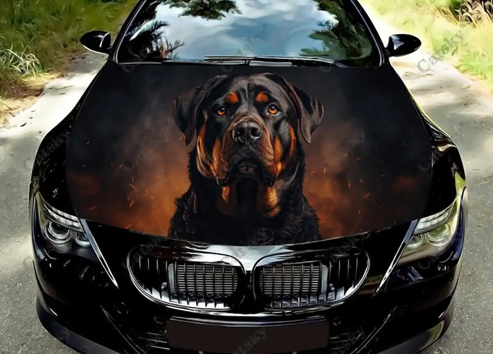 Виниловая наклейка на капот с собакой rottweiler, декоративная пленка, наклейка на капот, автомобильные аксессуары, наклейка 
Виниловая наклейка на капот с собакой rottweiler, декоративная пленка, наклейка на капот, автомобильные аксессуары, наклейка