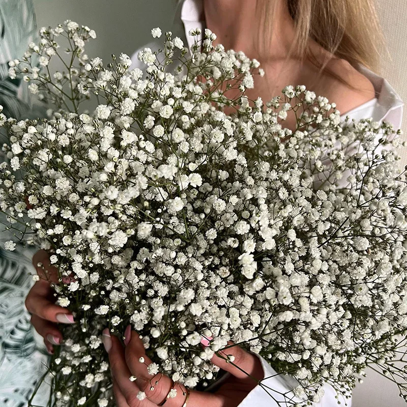 100g Natural Dried Gypsophila Flower Baby Breath Bouquets Floral Gypsophila Branches for Home Decor Wedding Garland Decoration
100g Natural Dried Gypsophila Flower Baby Breath Bouquets Floral Gypsophila Branches for Home Decor Wedding Garland Decoration