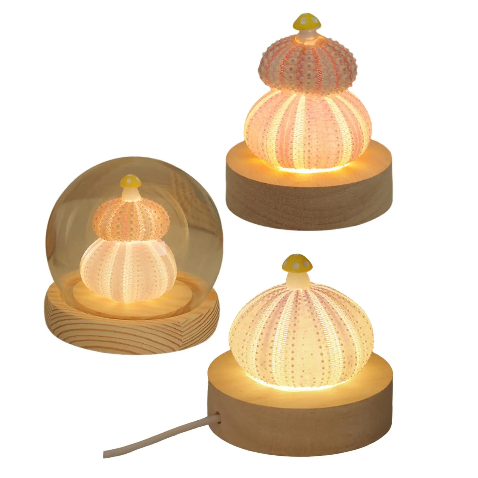 Decorative Table Lights Nordic Birthday Gift NightStand Bedroom Shell Dining Table Home Decor Anniversary Living Room Table Lamp
Decorative Table Lights Nordic Birthday Gift NightStand Bedroom Shell Dining Table Home Decor Anniversary Living Room Table Lamp