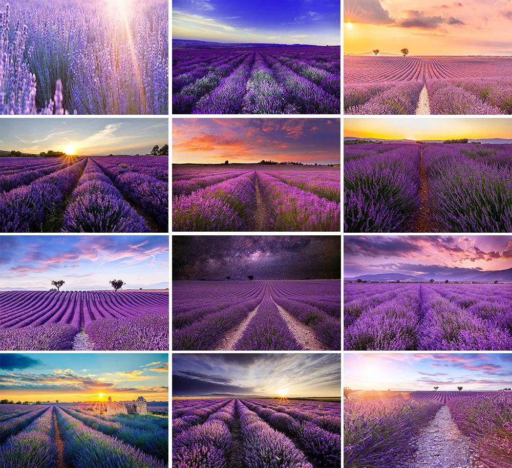 Фон для фотосъемки с изображением Прованса дома лаванды поля неба облака фермы весенней свадебной фотосъемки Фотообои
Фон для фотосъемки с изображением Прованса дома лаванды поля неба облака фермы весенней свадебной фотосъемки Фотообои